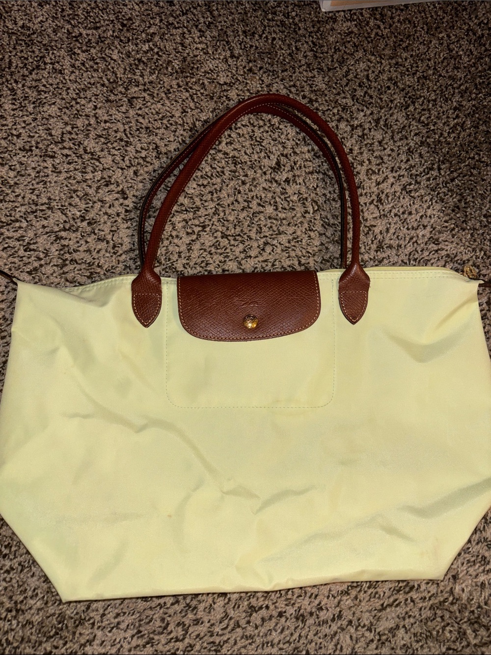 Green Longchamp Bag with Brown Trim - Classic Everyday Carry